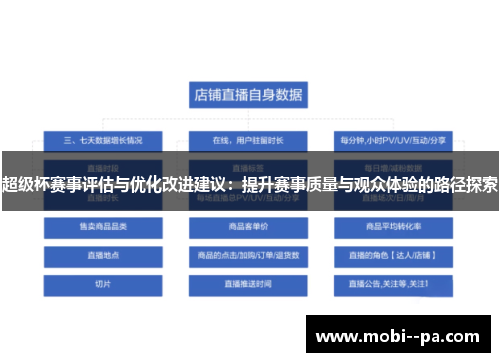 超级杯赛事评估与优化改进建议：提升赛事质量与观众体验的路径探索