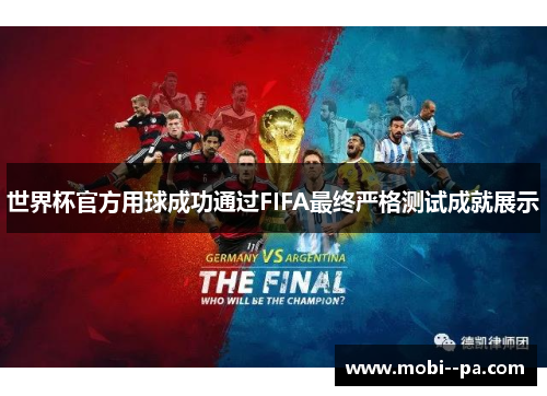 世界杯官方用球成功通过FIFA最终严格测试成就展示